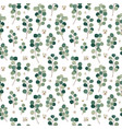 eucalyptus branches and flowers for design vector image vector image