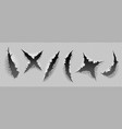 realistic claws scratch set vector image vector image