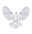 white dove in flight holding heart ink sketch vector image