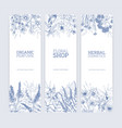 collection of vertical banners decorated with wild vector image vector image