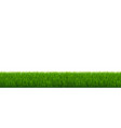 green grass and white background vector image vector image
