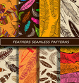 set of yellow brown abstract ethnic bird feather vector image vector image