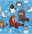wild south pole animals pattern in flat style vector image