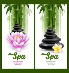Spa theme Royalty Free Vector Image - VectorStock
