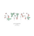 hand drawn strawberry set vector image