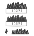 logo or emblem of fir-trees vector image