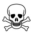 skull vector image vector image