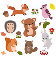 forest animals vector image