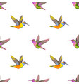 hummingbird embroidery seamless pattern vector image