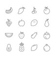 fruits lines icons set vector image vector image