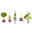 macrame hangers with green house plants vector image