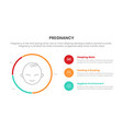 baby things circle percentage for pregnant vector image