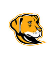labrador retriever dog mascot vector image