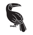 toucan bird black silhouette on white background vector image