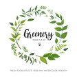 floral card design with green eucalyptus fern vector image vector image