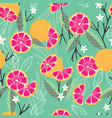 fruit seamless pattern grapefruit with branches vector image vector image