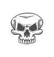 profile of skeleton head with tooth isolated skull vector image