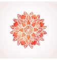 watercolor red flower mandala vector image