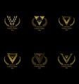 logo set vector image vector image