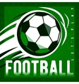 soccer football green field background with ball vector image