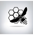 black bees and honey vector image