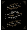set of elegant vintage ornamental emblems vector image vector image