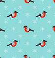 winter seamless background with bullfinch vector image vector image