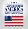 happy birthday america vector image