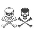 black and white skull crossbones icon vector image