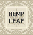 black frame against cannabis leaves vector image vector image