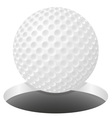 golf 03 vector image
