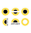 sunflowers art silhouettes and space for text vector image