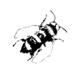 depicting a bee hand drawn vector image