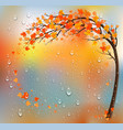 autumn background with a tree and colorful vector image vector image