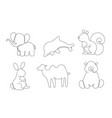 line art animals set vector image vector image