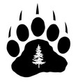 bear paw vector image vector image