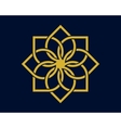 arabic pattern vector image