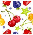 berry seamless pattern vector image vector image