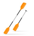 paddle for kayak or canoeing vector image