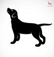 dog labrador vector image