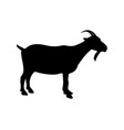 goat icon black silhouette vector image