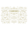 calligraphic design elements vintage ornaments vector image