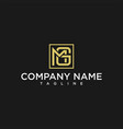 letter ng or gn luxury initial square logo design vector image