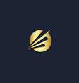 round abstract shape company gold logo vector image