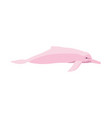 inia geoffrensis - amazon river dolphin - male vector image vector image