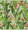 seamless pattern with strelitzia bird of paradise vector image