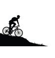 mountain biker vector image
