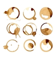 coffee stain cup spots vector image
