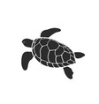 Turtle design on a white background reptile Vector Image