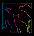 group of pets in the frame vector image